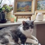 Meowloween bij WonderCat: kattenkunst en Halloween; illustratief bronbeeld