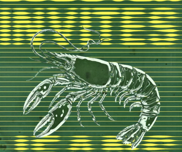 Lobster invites JEANS bij PIP (beeld van de aanbieder)