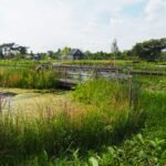 Locatiefoto Tuinen van Boskoop.